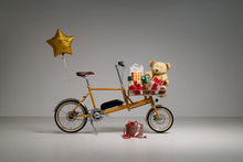 画像をギャラリービューアに読み込む, TOKYOBIKE PORTER